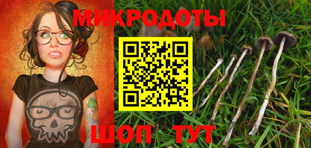 Галлюциногенные грибы GOLDEN TEACHER Артёмовский